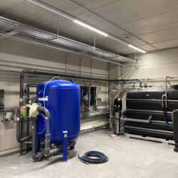 IMG 0871