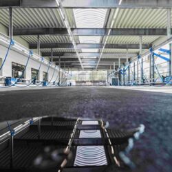 Glanzarena Saugerhalle 3-K